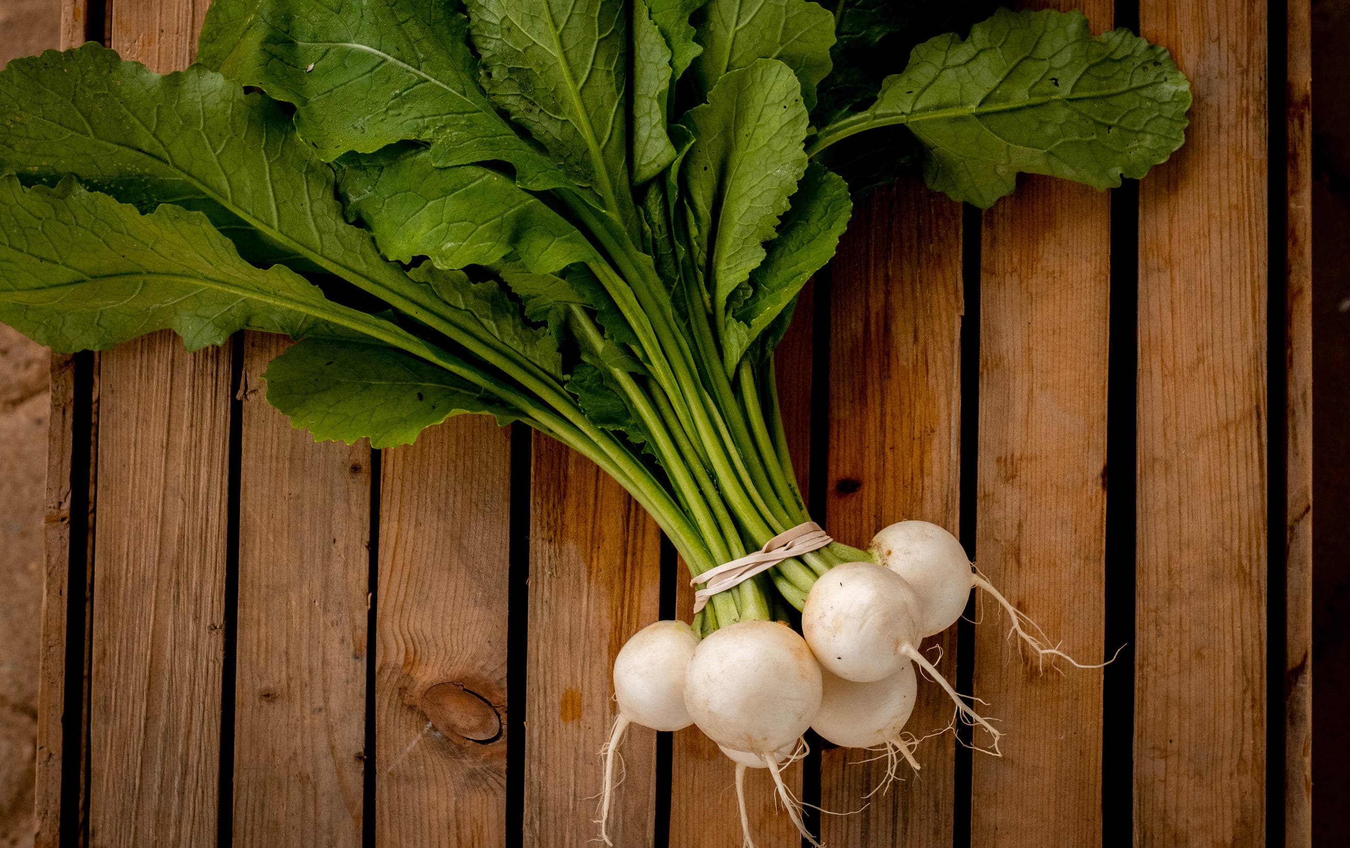 Turnip Bunch