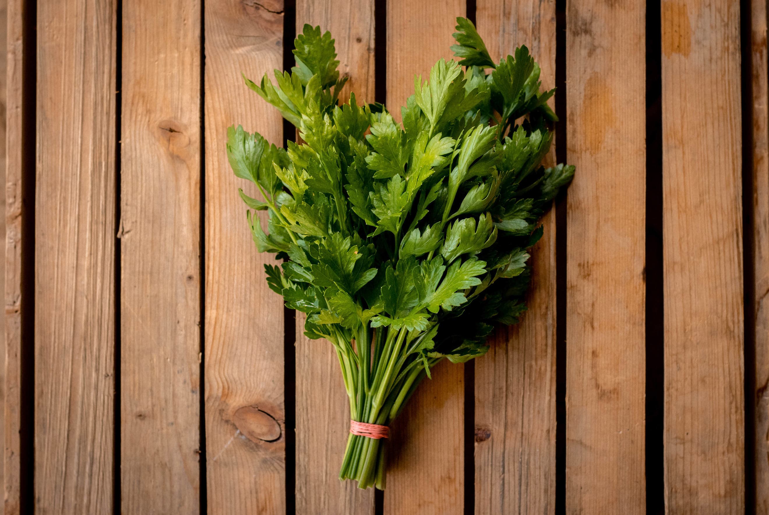 Parsley (washed and packaged)