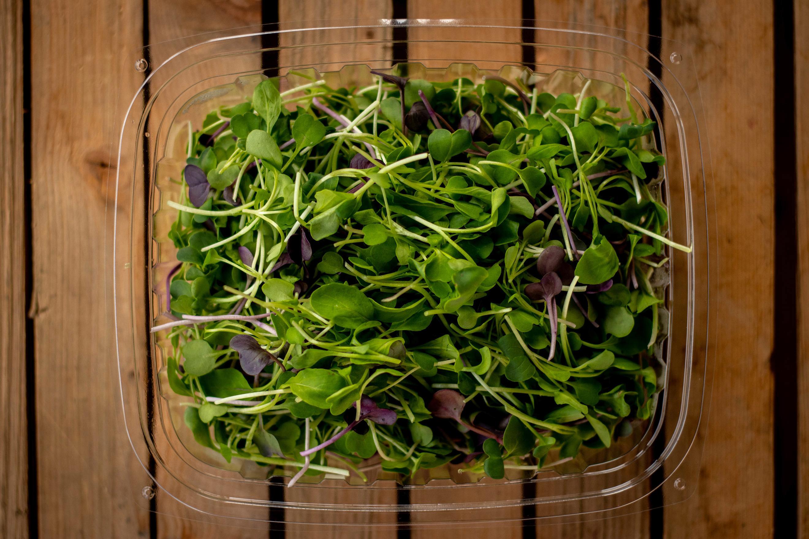 Spicy Fiesta Micro Mix