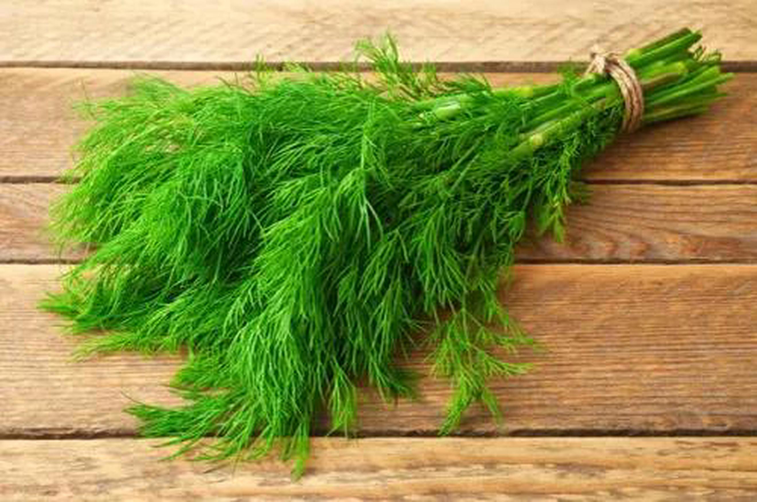 Dill (bunched)