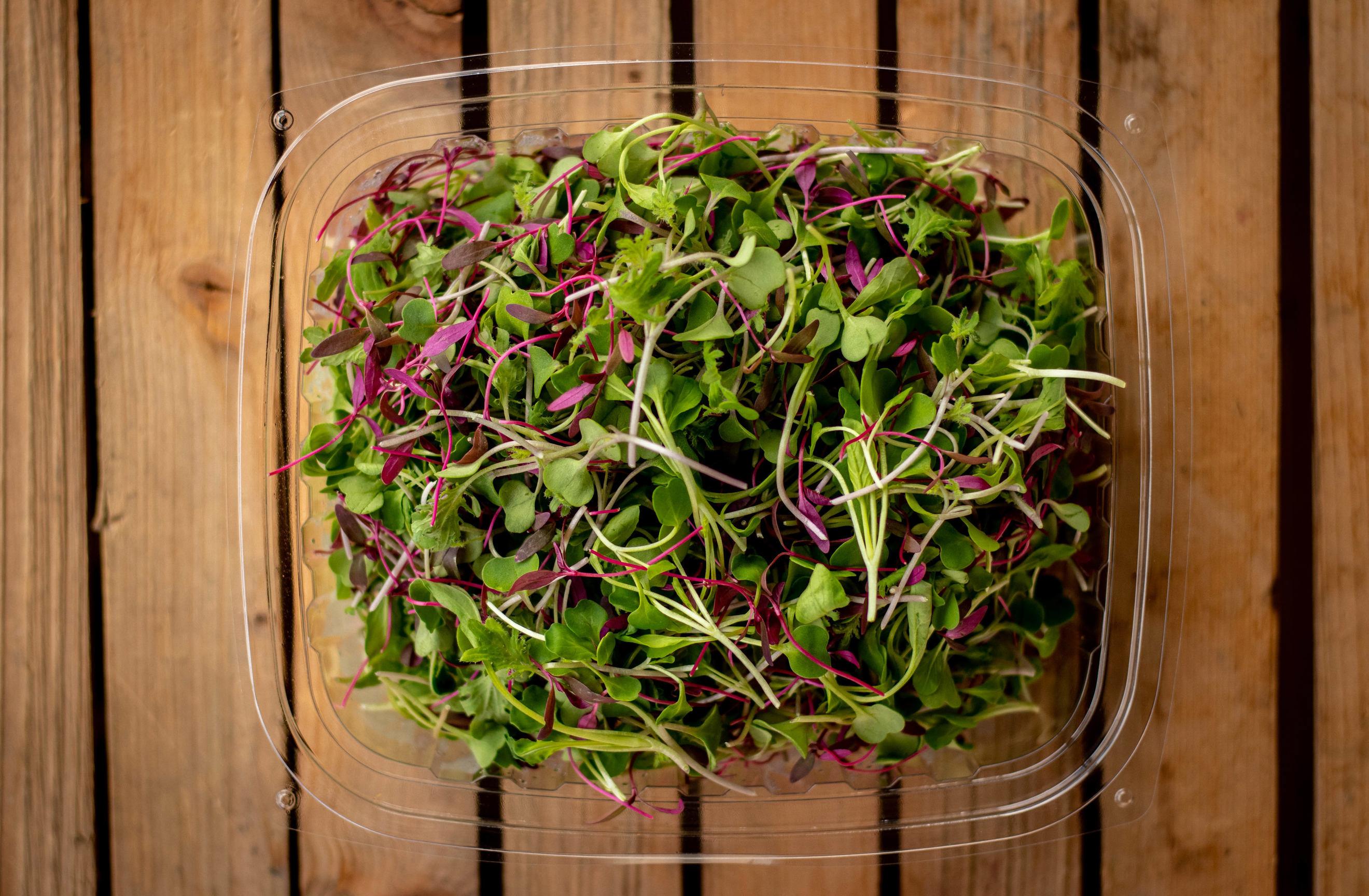 Nutri-Dense Micro Mix