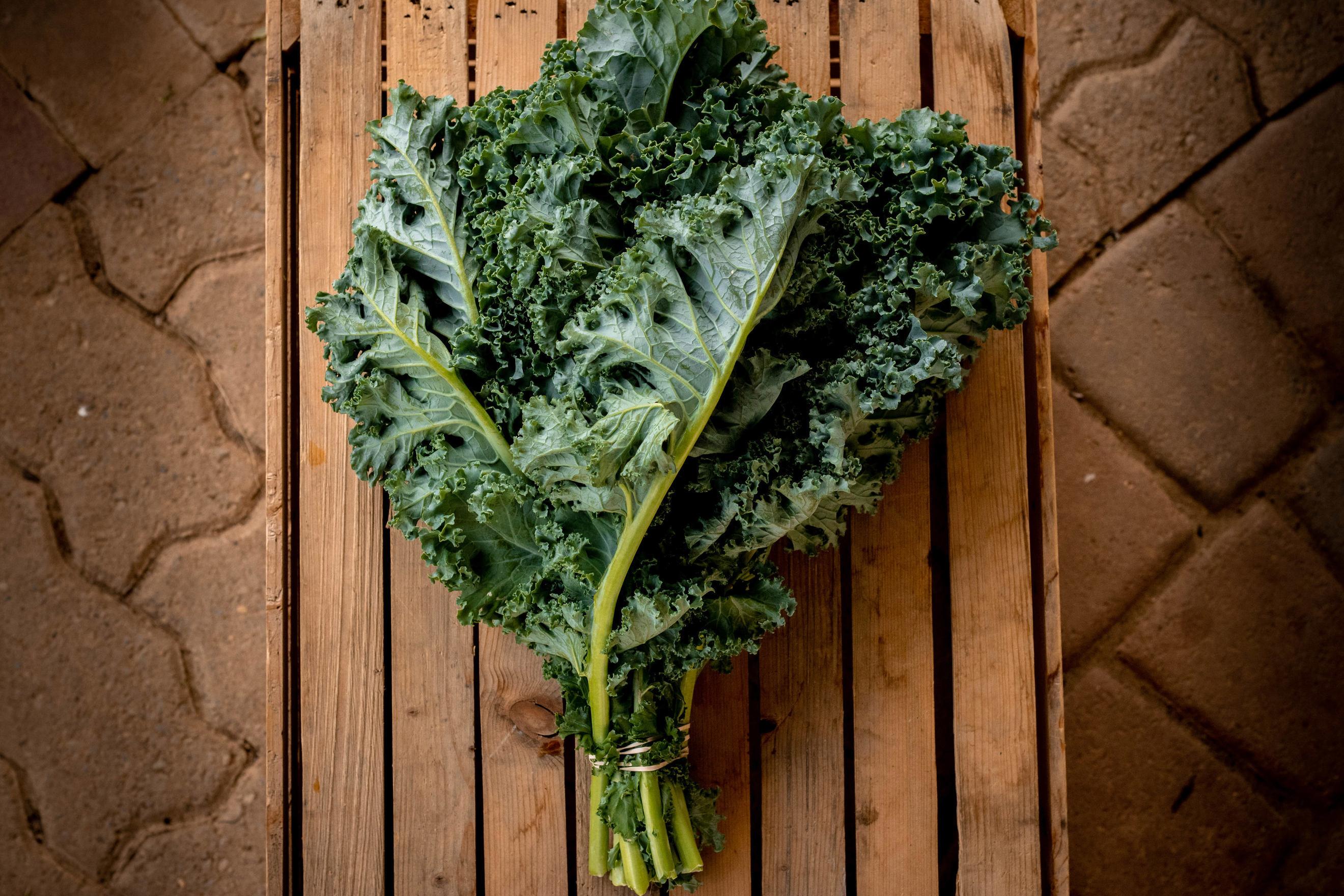 Curly Kale (packaged)