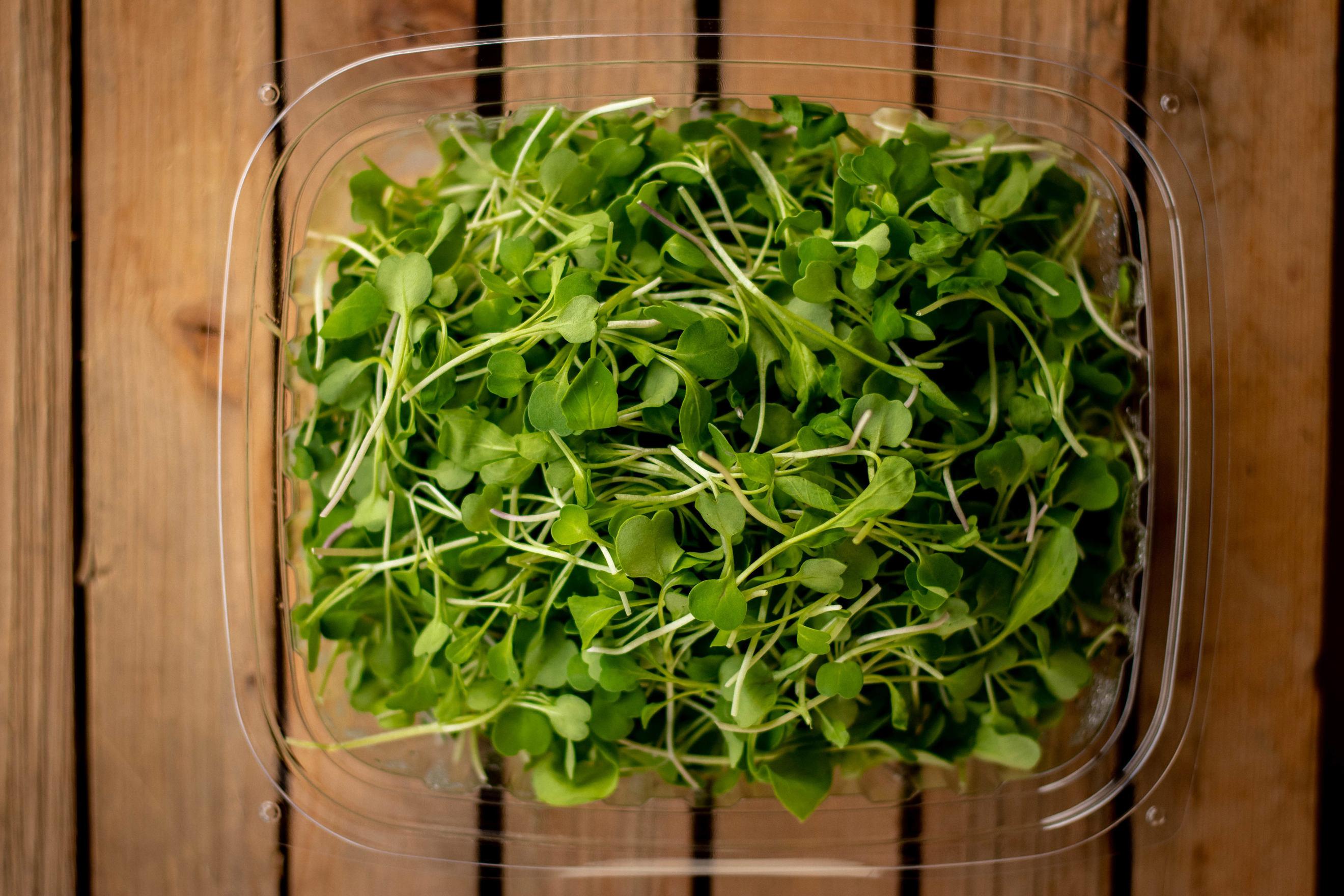 Micro Arugula