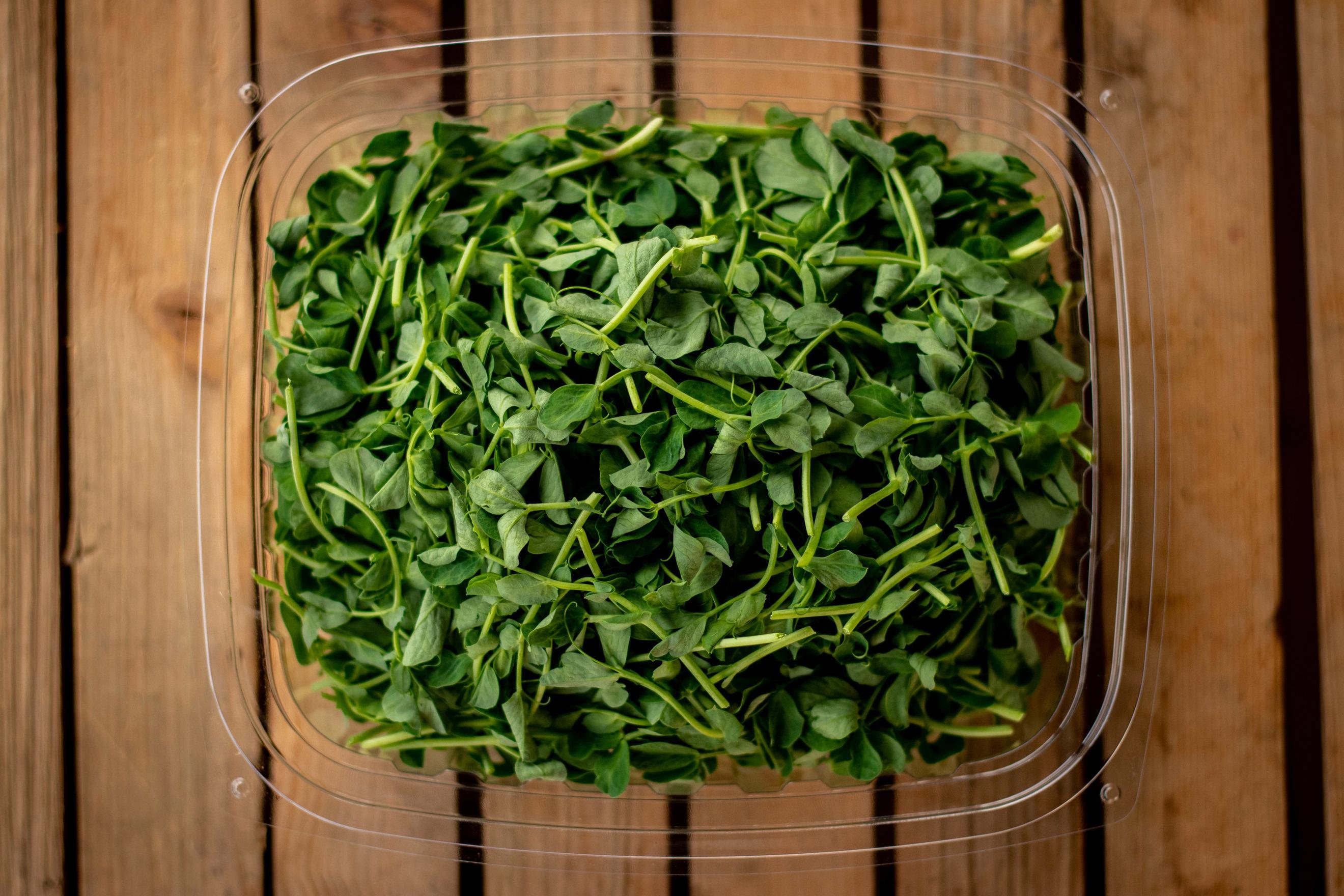 Sweet Pea (Pea Shoots)